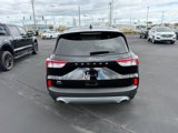 Used 2022 Ford Escape SE w/ Convenience Package image 5