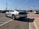 Used 2019 Ford Mustang Coupe image 3