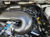 Used 2019 Ford Transit 250 130 Low Roof w/ Exterior Upgrade Package image 5