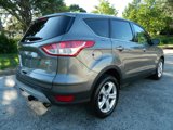 Used 2014 Ford Escape SE image 6
