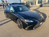 Certified 2024 Lexus ES 300h w/ Premium Package image 5