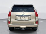 Used 2010 Lexus GX 460 Premium image 4