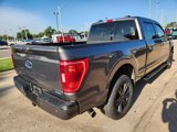 Certified 2021 Ford F150 XLT w/ Equipment Group 302A High image 6