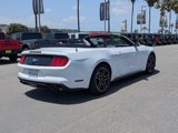 Used 2022 Ford Mustang Premium image 5