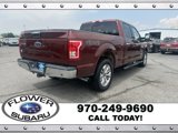 Used 2016 Ford F150 XLT w/ Equipment Group 302A Luxury image 6