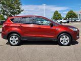 Used 2015 Ford Escape SE image 2