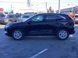 New 2024 Ford Escape Active image 4