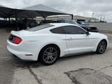 Used 2016 Ford Mustang Premium w/ Equipment Group 201A image 5