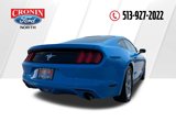 Used 2017 Ford Mustang Coupe image 5