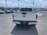 Used 2016 Ford F150 XLT image 4