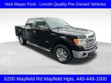 Used 2013 Ford F150 XLT w/ Luxury Equipment Group image 1