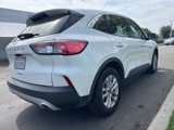 Used 2020 Ford Escape SE image 2