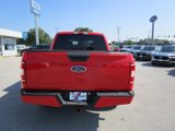 Used 2019 Ford F150 XL w/ Equipment Group 101A Mid image 5