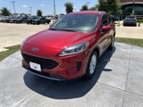 Used 2020 Ford Escape SE image 3