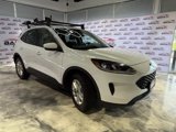 Used 2020 Ford Escape SE image 3