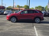 Used 2020 Ford Escape SE image 3