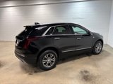 Used 2020 Cadillac XT5 Premium Luxury image 6