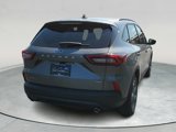 New 2025 Ford Escape ST-Line image 4