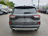 Used 2020 Ford Escape SE image 4