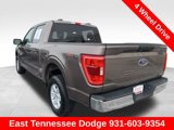 Used 2019 Ford F150 XLT w/ Equipment Group 301A Mid image 5
