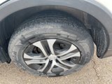 Used 2017 Toyota RAV4 LE image 5