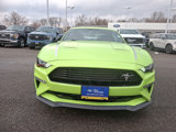 Certified 2020 Ford Mustang Coupe image 3