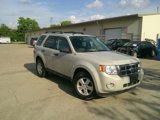Used 2009 Ford Escape XLT image 3
