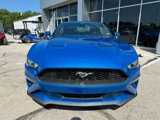 Used 2021 Ford Mustang Coupe image 2