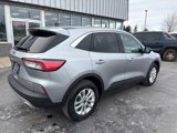 Used 2022 Ford Escape SE w/ Cold Weather Package image 3
