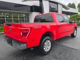 Used 2023 Ford F150 XLT image 3