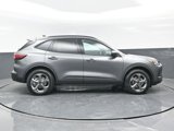 New 2025 Ford Escape ST-Line Elite w/ Tech Pack #1 image 3