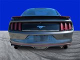 Used 2015 Ford Mustang Coupe w/ Wheel & Stripe Package image 4