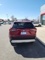 Used 2019 Toyota RAV4 Adventure image 4