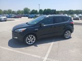 Used 2013 Ford Escape Titanium image 2