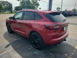 New 2024 Ford Escape ST-Line Elite w/ Premium Technology Package image 5