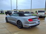 Used 2023 Ford Mustang Premium image 2