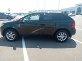 Used 2013 Ford Edge SEL image 6