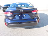Used 2023 Toyota Corolla LE image 3