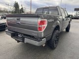Used 2010 Ford F150 XLT image 6