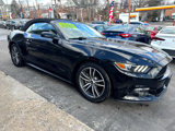 Used 2015 Ford Mustang Premium image 3