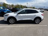 Used 2022 Ford Escape SE w/ Convenience Package image 2