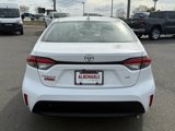 Used 2023 Toyota Corolla LE image 4