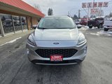 Used 2022 Ford Escape Titanium image 2