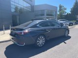 Used 2019 Lexus ES 300h w/ Luxury Package image 3