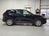 Used 2024 Ford Escape Active image 4