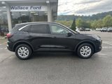 New 2024 Ford Escape Active image 4