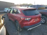 Used 2020 Ford Escape SEL image 4