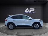 Used 2020 Ford Escape SE image 5