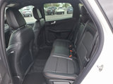 New 2025 Ford Escape ST-Line w/ Tech Pack #1 image 6