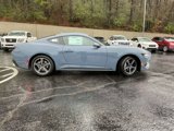 New 2025 Ford Mustang Coupe image 2